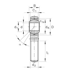 FAG Gelenkköpfe - GAKL30-PB