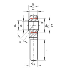 FAG Gelenkköpfe - GAKR30-PW