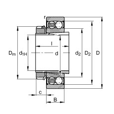 FAG Pendelkugellager - 2207-K-2RS-TVH-C3 + H307