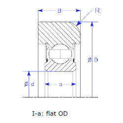 Bantalan B25-166 QPSZM NSK