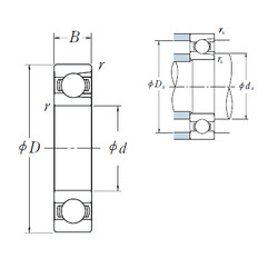 Bantalan BL 213 NSK