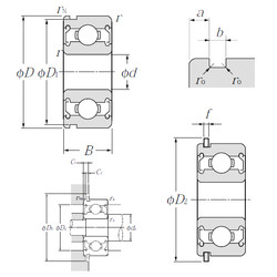 Bantalan F-SC6A06ZZ1NR NTN