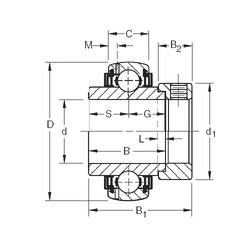 roulements GN203KLLB Timken