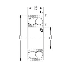 roulements 2313 NKE