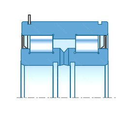 Bantalan SL04-5036LLNR NTN