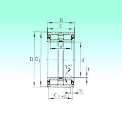 Bantalan SL04260-PP NBS