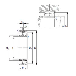 Rolando 24168-E1 FAG