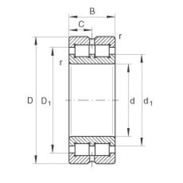 Rolando SL014848 INA