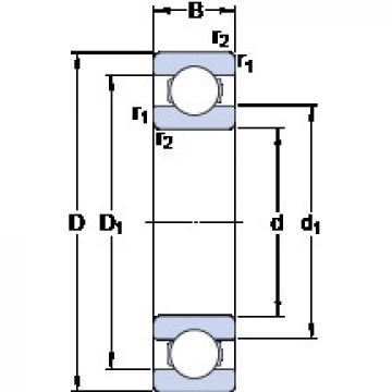 Bantalan 6036 M SKF