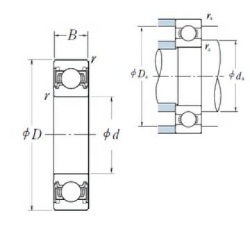 Bantalan 6024VV NSK