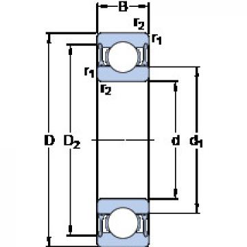 Bantalan D/W R10-2RZ SKF