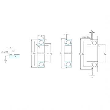 Bantalan 6020N SKF