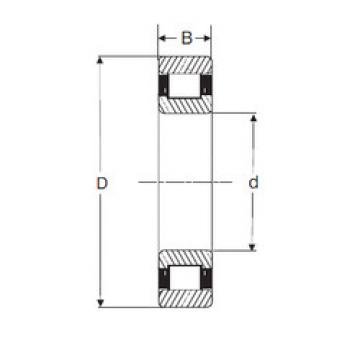 Bantalan RXLS 4E SIGMA