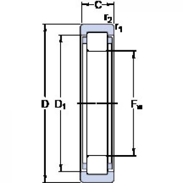 Bantalan RNU 205 ECP SKF