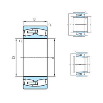 Rolando 24140CW33MB PSL