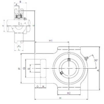 Bantalan UCT214 ISO