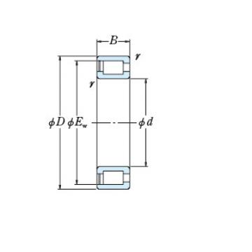 Bearing NCF1860V