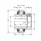 roulements GN207KLLB Timken