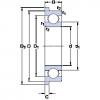 Bantalan D/W R1-4 R SKF