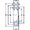 roulements 7003 CE/HCP4A SKF #1 small image