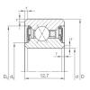 підшипник CSXU 100.2RS INA