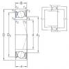 roulements VEB 20 /S/NS 7CE1 SNFA