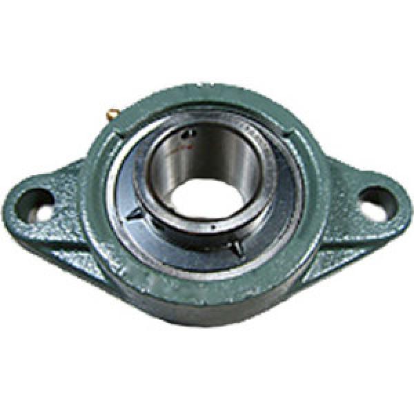 NTN UCFL205-100D1 Rolamentos de flange #1 image