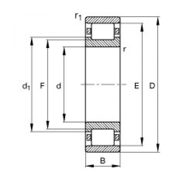 FAG Zylinderrollenlager - N206-E-XL-TVP2 #1 image