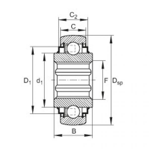 FAG Einstell-Rillenkugellager - SK106-208-KRR-B-L402/70 #1 image