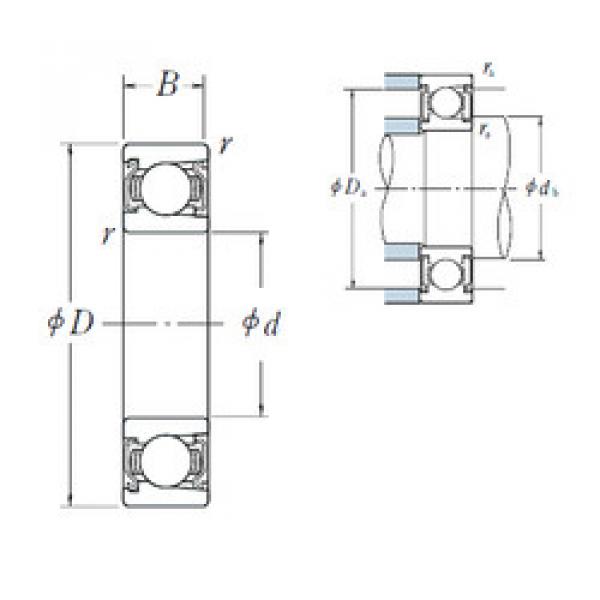 Bantalan BL 208 ZZ NSK #1 image