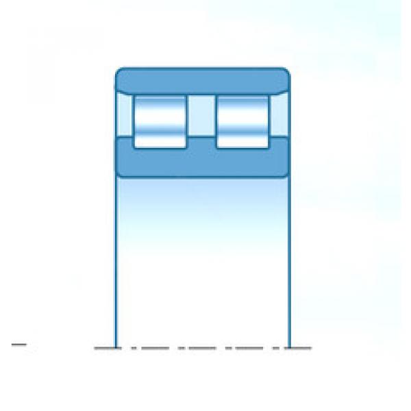 Rolamento NN3011C1NAP4 NTN #1 image