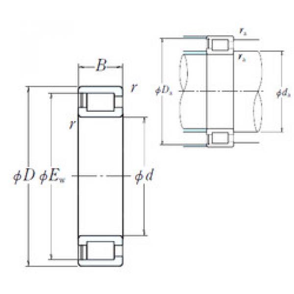 підшипник NCF18/560V NSK #1 image