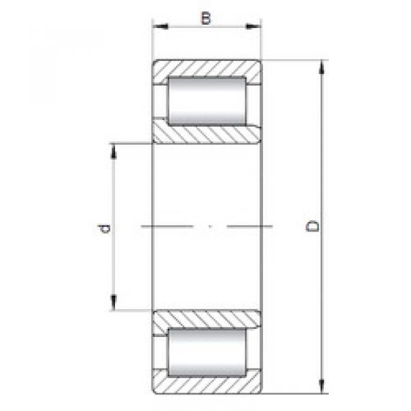 Bantalan SL192311 ISO #1 image