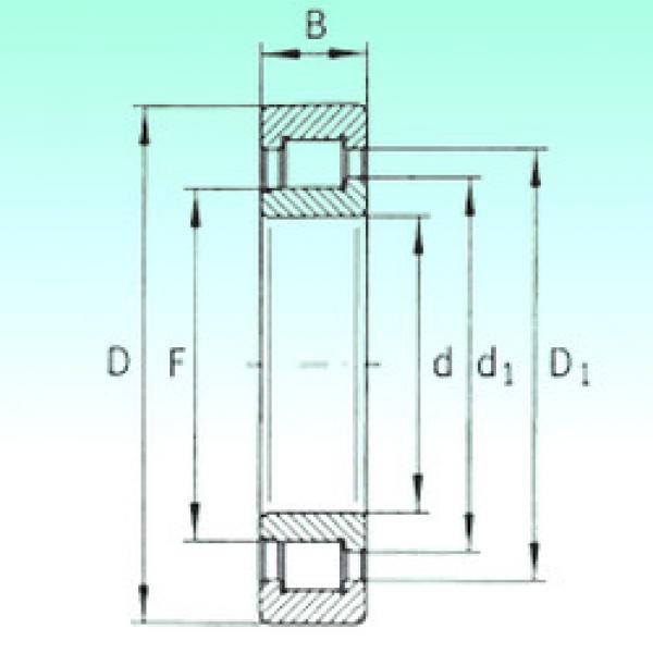 Bantalan SL192305 NBS #1 image